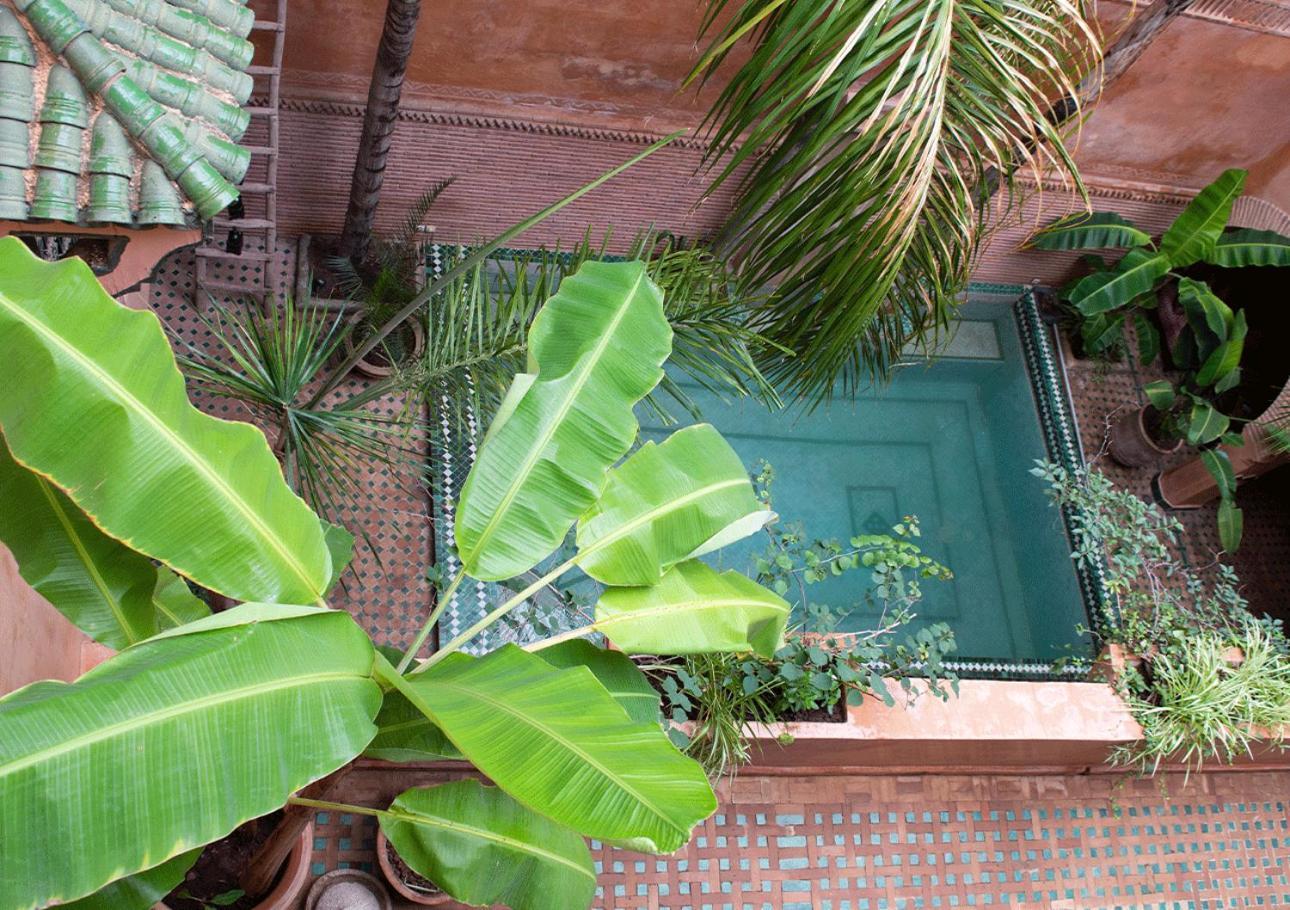 Riad Amirat Al Jamal Marrakesh Esterno foto